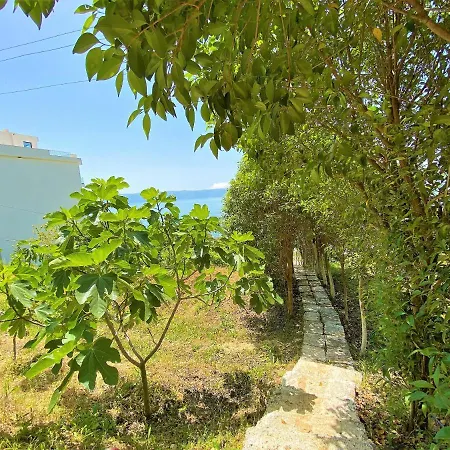 Ramo's Hilltop Retreat With Kitchenette And Patio - 2nd Tatil Evi