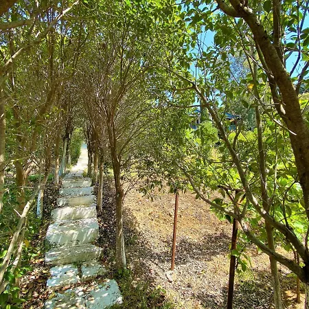 Ramo's Hilltop Retreat With Kitchenette And Patio - 2nd * Avlonya